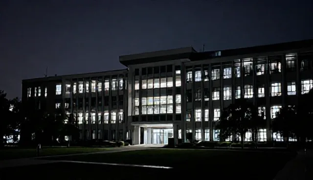 商务信息策划服务的适用情况与限制分析