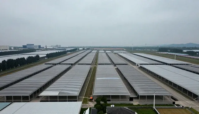 流程优化在管理实践中的性能表现与适用条件分析