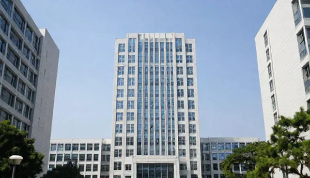 商务代理服务包适用场景与限制解析